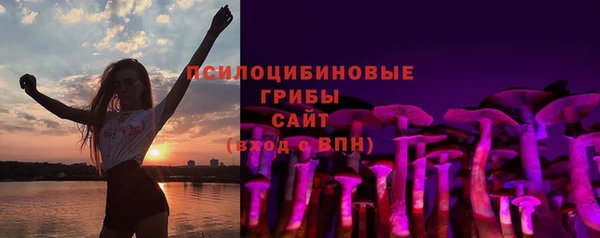 прущая мука Арсеньев