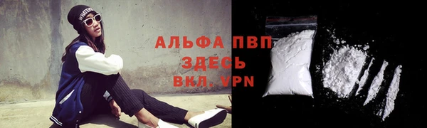 прущая мука Арсеньев