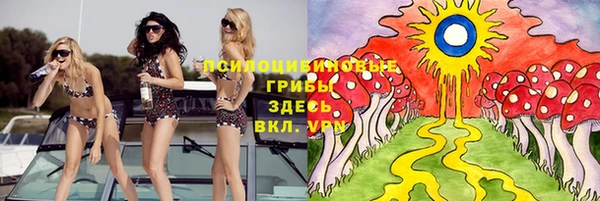 прущая мука Арсеньев