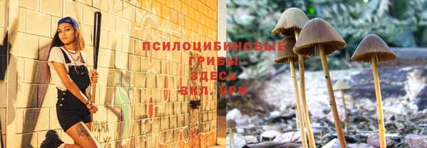 прущая мука Арсеньев